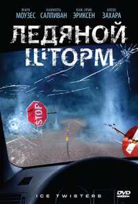 Ледяной шторм (2009)